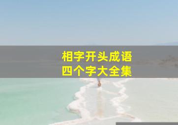 相字开头成语四个字大全集