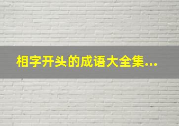 相字开头的成语大全集...