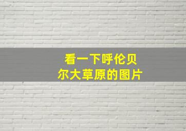 看一下呼伦贝尔大草原的图片