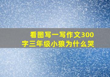 看图写一写作文300字三年级小狼为什么哭