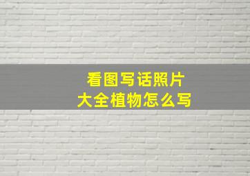 看图写话照片大全植物怎么写