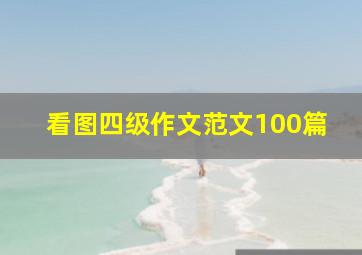 看图四级作文范文100篇