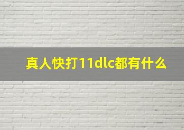 真人快打11dlc都有什么