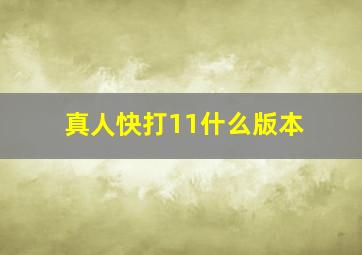 真人快打11什么版本