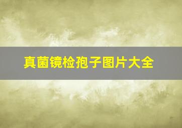 真菌镜检孢子图片大全