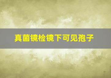 真菌镜检镜下可见孢子