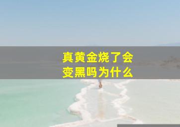 真黄金烧了会变黑吗为什么