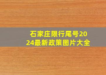 石家庄限行尾号2024最新政策图片大全