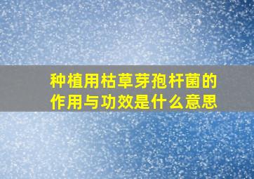 种植用枯草芽孢杆菌的作用与功效是什么意思