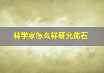 科学家怎么样研究化石