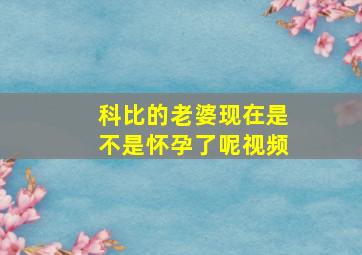 科比的老婆现在是不是怀孕了呢视频