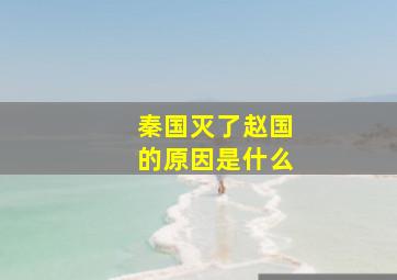 秦国灭了赵国的原因是什么