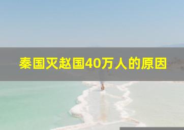 秦国灭赵国40万人的原因