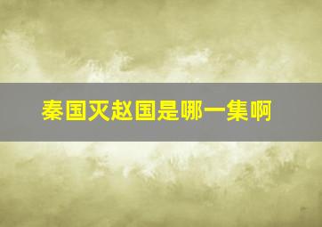 秦国灭赵国是哪一集啊