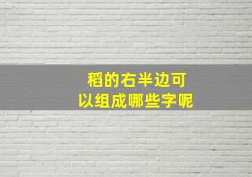 稻的右半边可以组成哪些字呢