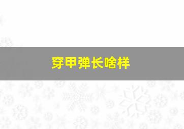 穿甲弹长啥样