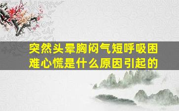 突然头晕胸闷气短呼吸困难心慌是什么原因引起的