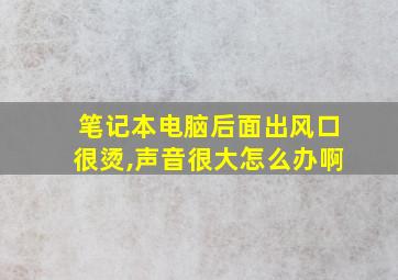 笔记本电脑后面出风口很烫,声音很大怎么办啊