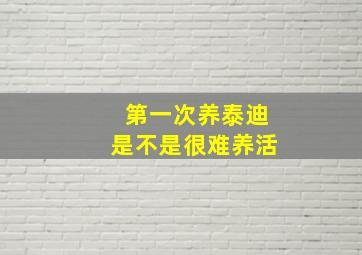 第一次养泰迪是不是很难养活