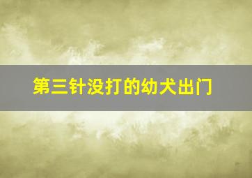 第三针没打的幼犬出门