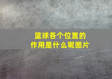 篮球各个位置的作用是什么呢图片