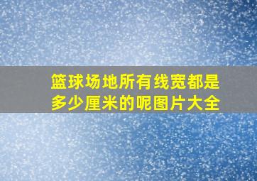 篮球场地所有线宽都是多少厘米的呢图片大全