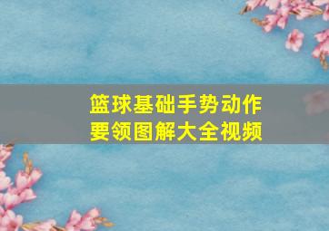 篮球基础手势动作要领图解大全视频