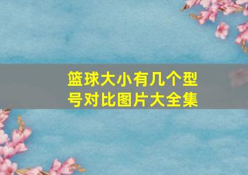 篮球大小有几个型号对比图片大全集