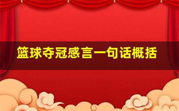 篮球夺冠感言一句话概括