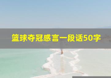 篮球夺冠感言一段话50字