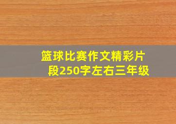 篮球比赛作文精彩片段250字左右三年级