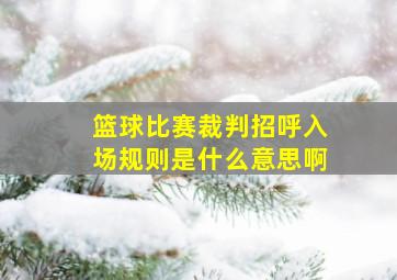 篮球比赛裁判招呼入场规则是什么意思啊