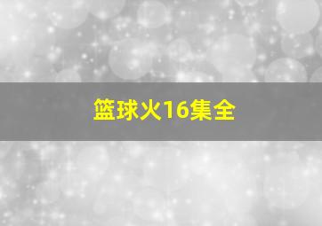 篮球火16集全