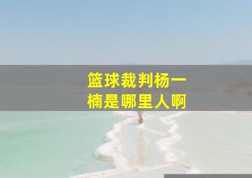 篮球裁判杨一楠是哪里人啊