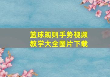 篮球规则手势视频教学大全图片下载