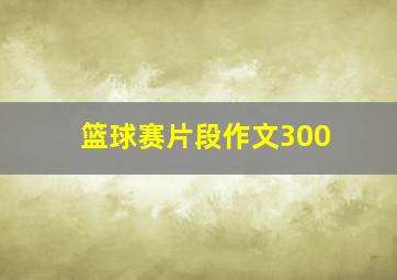 篮球赛片段作文300