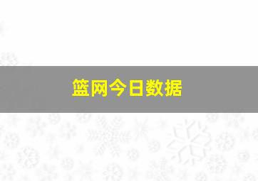 篮网今日数据