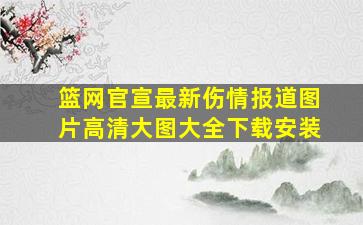 篮网官宣最新伤情报道图片高清大图大全下载安装