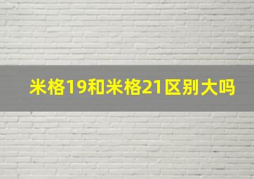 米格19和米格21区别大吗