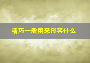 精巧一般用来形容什么