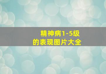 精神病1-5级的表现图片大全