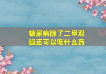 糖尿病除了二甲双胍还可以吃什么药