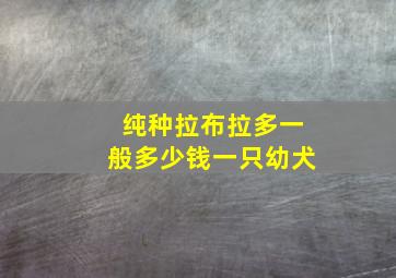 纯种拉布拉多一般多少钱一只幼犬