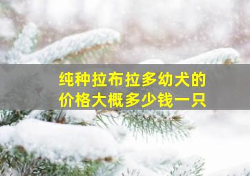 纯种拉布拉多幼犬的价格大概多少钱一只