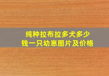 纯种拉布拉多犬多少钱一只幼崽图片及价格