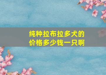 纯种拉布拉多犬的价格多少钱一只啊