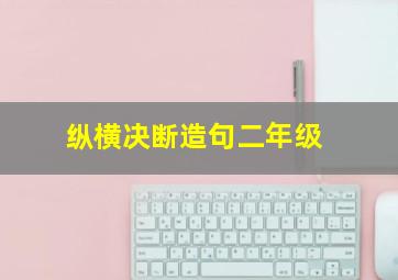 纵横决断造句二年级