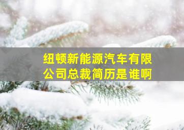 纽顿新能源汽车有限公司总裁简历是谁啊