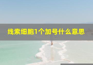 线索细胞1个加号什么意思