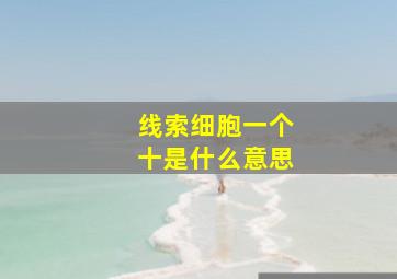 线索细胞一个十是什么意思